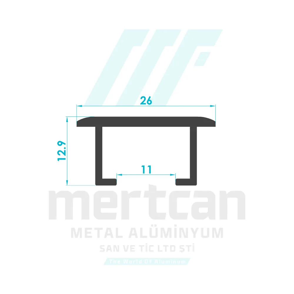 Flush Bolt Profile (11mm)