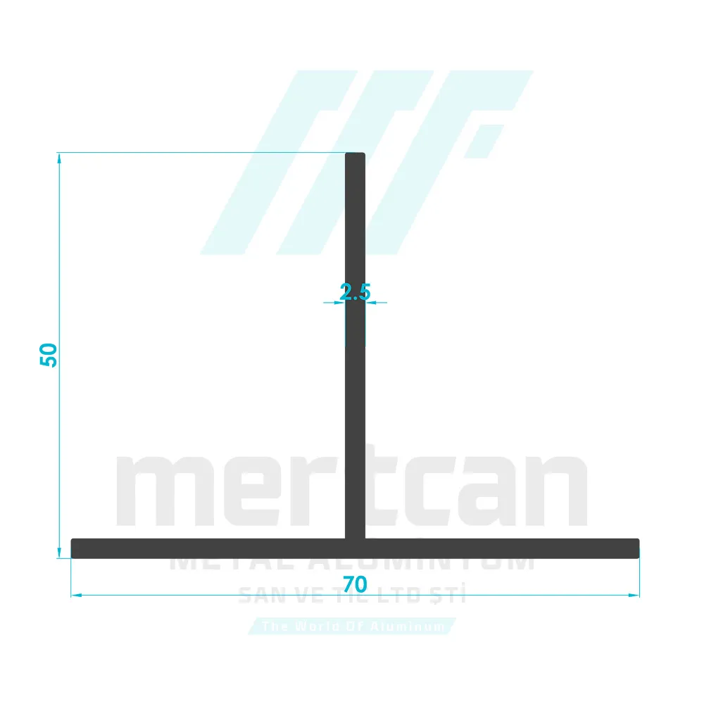 50x70 T Profile