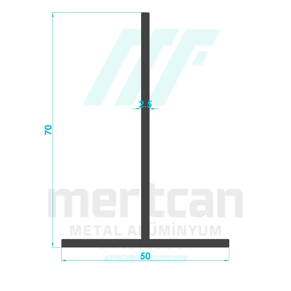 70x50 T Profile