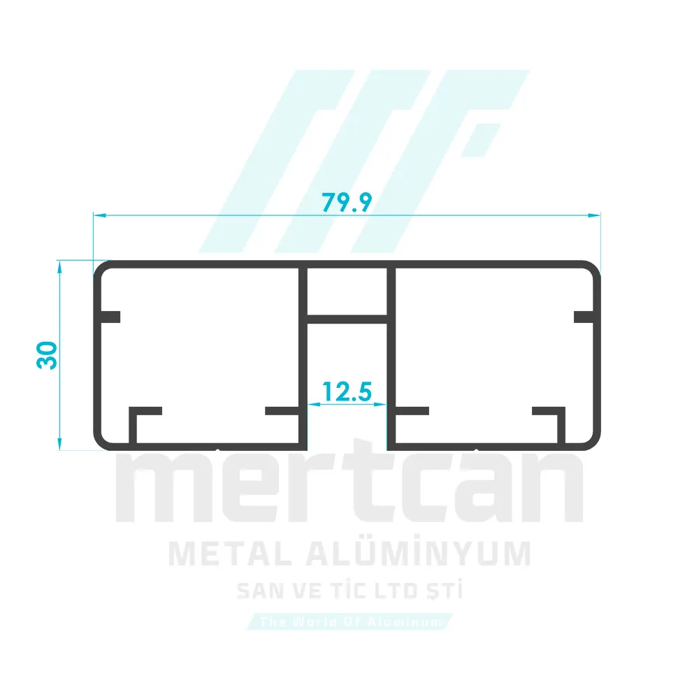 30x80 mm Glass Top Profile (for 12mm Glass)
