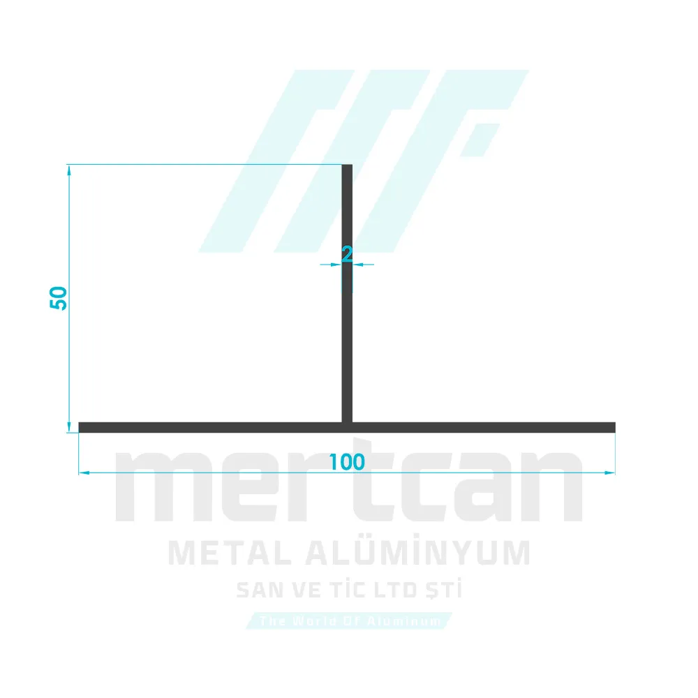 50x100 T Profile