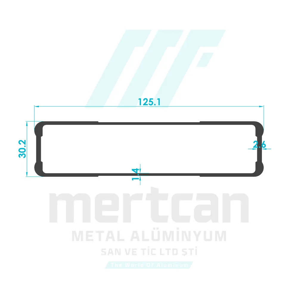 Truck Bodywork Profile (30x125mm)